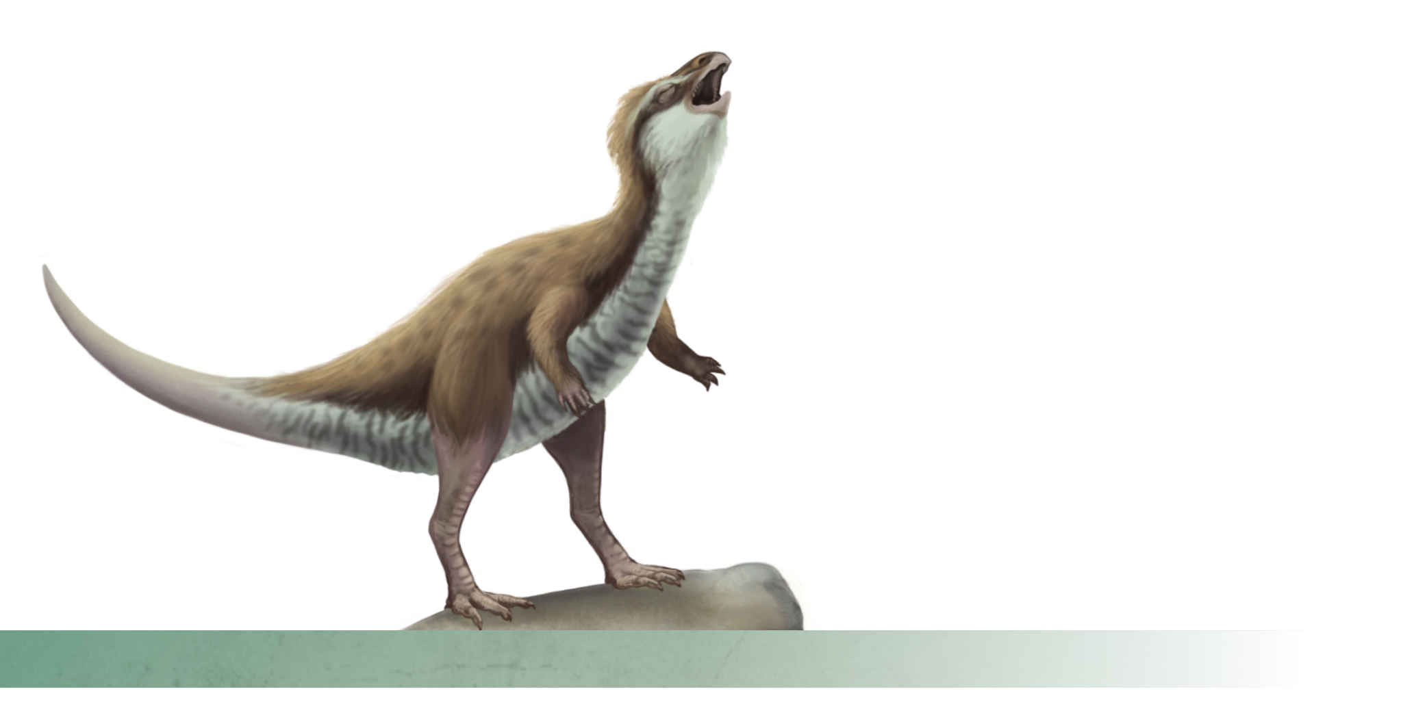 pulaosaurus illustration